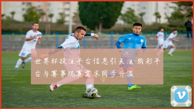 世界杯投注平台信息引关注 购彩平台与赛事观赛需求同步升温