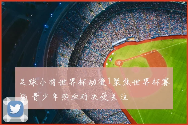 足球小将世界杯动漫1聚焦世界杯赛场 青少年热血对决受关注