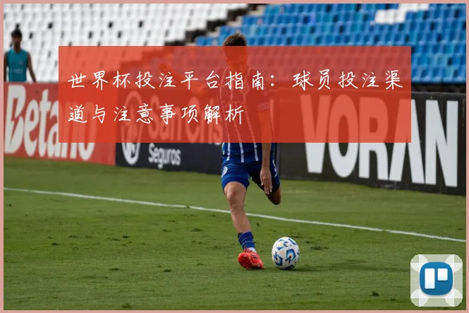 世界杯投注平台指南：球员投注渠道与注意事项解析