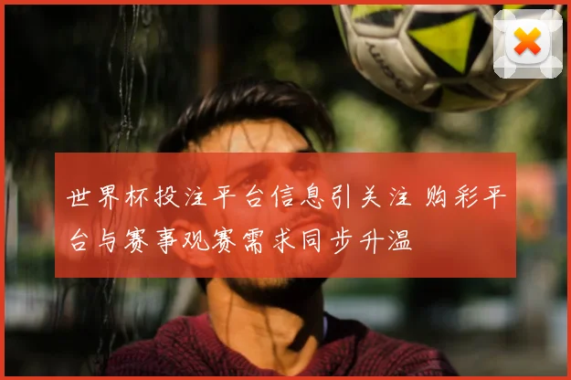 世界杯投注平台信息引关注 购彩平台与赛事观赛需求同步升温