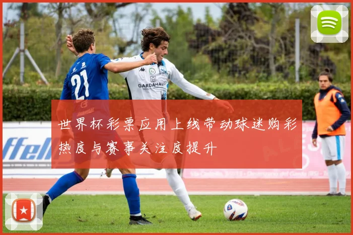 世界杯彩票应用上线带动球迷购彩热度与赛事关注度提升